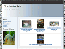 Tablet Screenshot of piranhasforsale.com